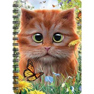 Obrázek z Notes 3D 11x14cm - zrzavé kotě (10) 